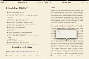 Screenshot der hag2epub3.sh-Ausgabe auf dem Apple iPad.
